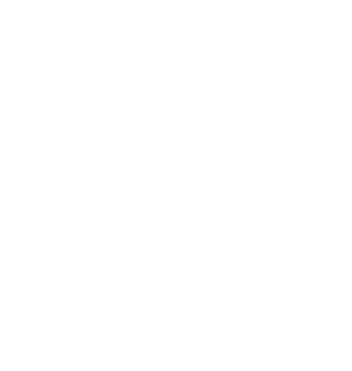 SHLTR geodesic dome mark